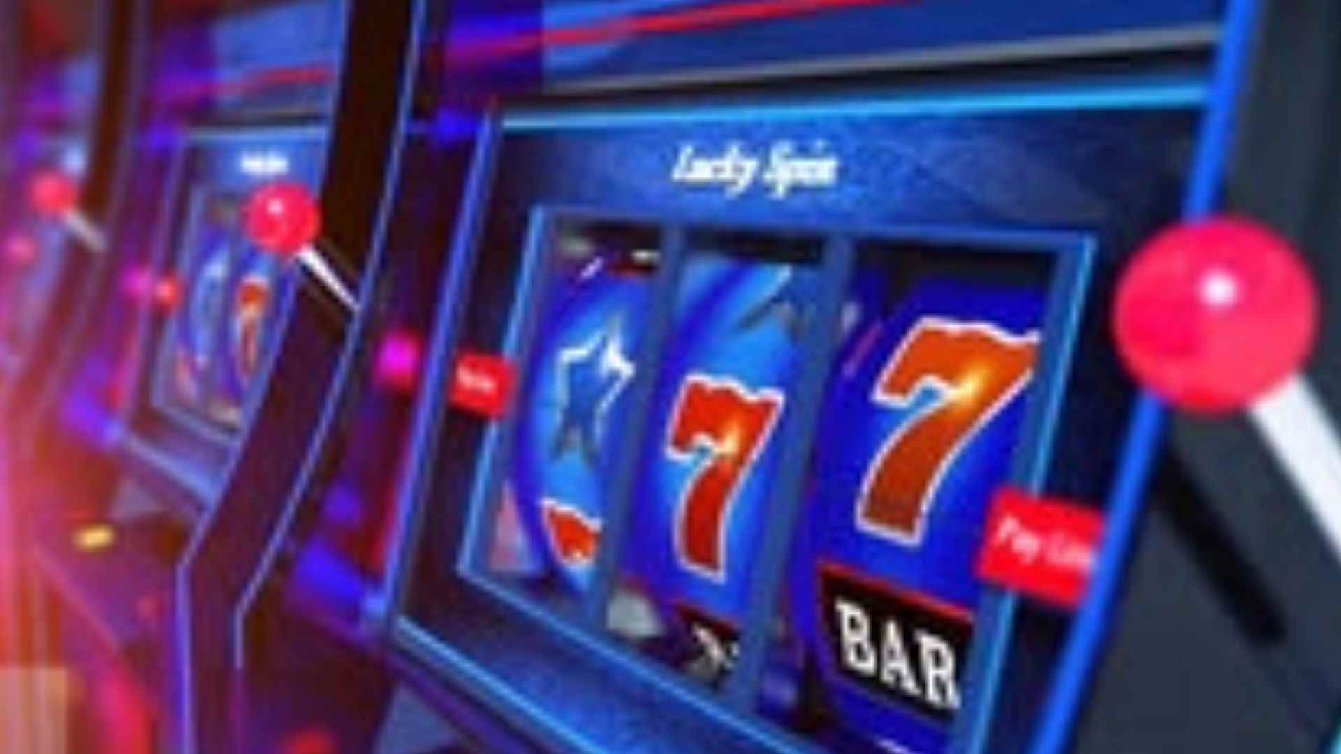 Betting on a Horse Race and What Beginners Should Know